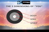Spirit Soul Body - Internals Series