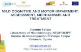 Vicente Felipo / Mild cognitive and motor impairment: assessment, mechanisms and treatments