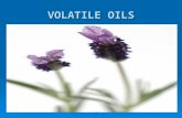 Allie, yusra volatile-oils