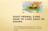 Gout herbal cure - How to cure Gout in Hours