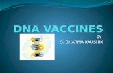 Dna Vaccines
