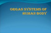 Organ systems of human body