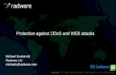 DSS ITSEC 2013 Conference 07.11.2013 -Radware - Protection against DDoS