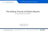 The Rising Threat of DDoS Attacks: Is Your Business at Risk?