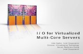 I/O for Virtualized Multi-Core Servers