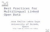 Best Practices for multilingual linked open data