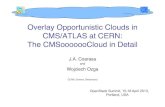 Overlay Opportunistic Clouds in CMS/ATLAS at CERN: The CMSooooooCloud in Detail