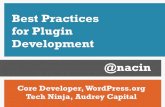Best Practices in Plugin Development (WordCamp Seattle)