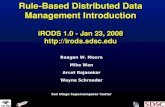 Rule-Based Distributed Data Management Introduction