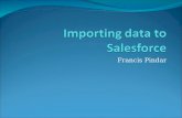 Importing data to salesforce