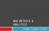 Web Metrics & Analytics Resumida