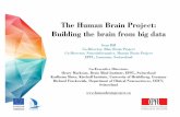 OpenAIRE-COAR conference 2014: Global collaborative neuroscience - Building the brain from big data, by Sean Hill - Human Brain Project