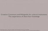 Creative commons and wikipedia for cultural institutions, STS Italia