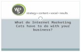 What do internet marketing cats have to do with your business