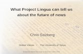 Presentation at the Berkman Center on Project Lingua