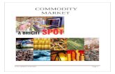 Rushabh commodity market project