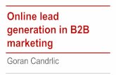 Online lead generation in B2B marketing