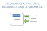 Environmental implications of Kuznet curve