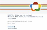 WebRTC: Show me the money! Where's the beef for gateway, platform, API and telecommunication providers?