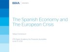 The spanish economy and the european crisis