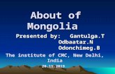 001 mongolian presentation