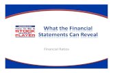Financial Ratios: What The Financial Statements