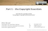 ALCC libraries copyright training 2012