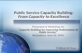 Public Service Capacity Building: From Capacity to Excellence