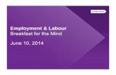 Employment & labour