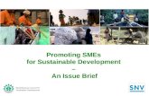 WBCSD-SNV Issue Brief on Small and Medium Enterprises