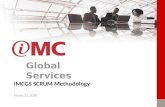 IMC Global Services