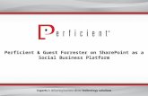 Forrester & Perficient on SharePoint as a Social Business Platform