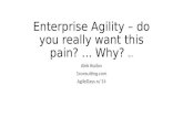 Enterprise agility – do you really want this pain? why?