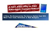 Triad Semiconductor Mixed Signal Integration Kick ASIC IESF Automotive Presentation Sept 2013