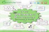 The funkiest PRINCE2 Processes revision guide on the internet