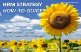 HR Strategy - How to develop and deploy your hrm strategy  - a manual for HR and non HR professionals