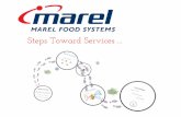 Managing Services Business for Markets: a Case Study of Marel