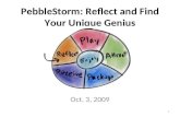 Pebble Storm Reflect Webinar Dc Trip 10-3-09