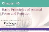 OHHS AP Biology Chapter 40 Presentation