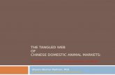 The Tangled Web of Chinese Domestic Animal Markets:Stolen and Stray Pets, Designer Dogs and Chi Energy