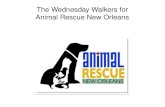 Wednesday walkers at animal rescue new orleans animal rescue new orleans-2019