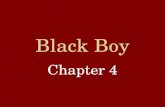 Black Boy Chapter 4