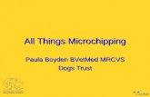 ICAWC 202: Paula Boyden All things Microchipping