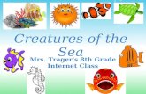Sea Creatures Presentation
