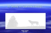 Canine health 03