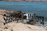 Seascape in Mallorca