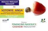 FINANCING NIGERIA'S CASHEW INDUSTRY