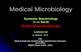 Microbiology   lec12,klebsiella&salmonella