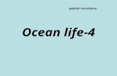 Ocean Life 4