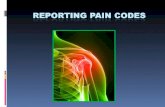 Reporting Pain Codes